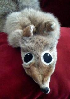 Some Taxidermists are better than others.