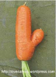 <Excuse to post cock-shaped carrot goes here>